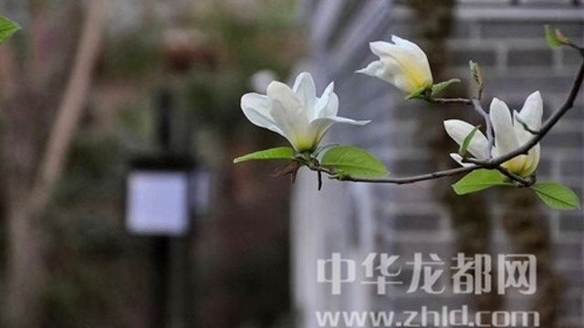 淮陽蓮舍，多了一份味道