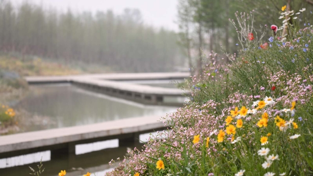 周口市城鄉一體化示范區的引黃調蓄工程美若江南水鄉