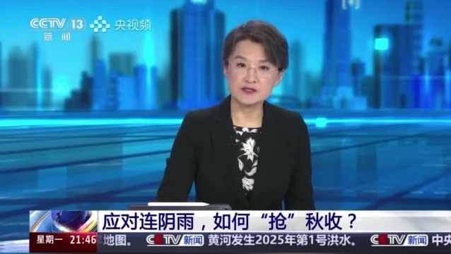 【主流媒體看周口】面對連陰雨 如何“搶”秋收？
